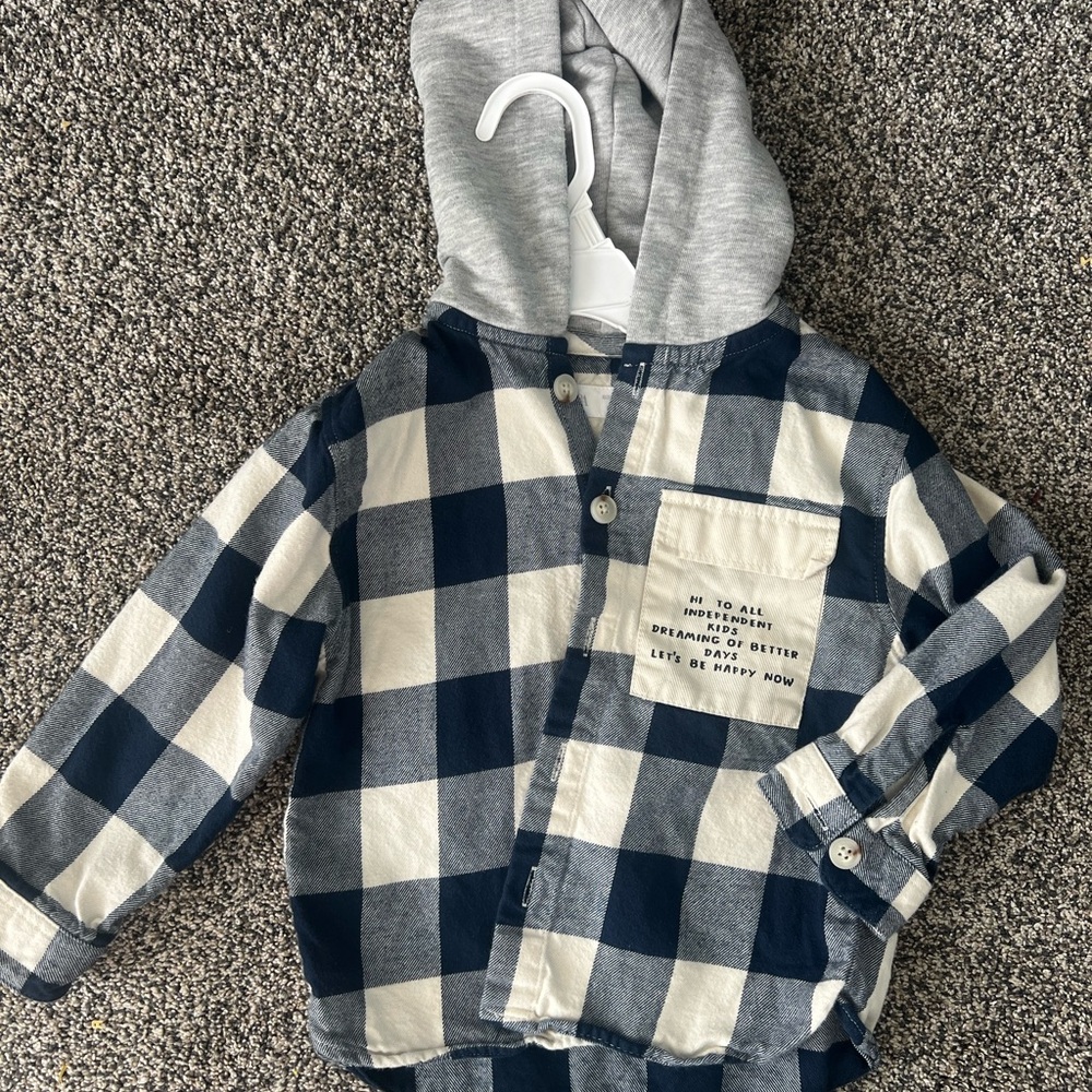 Zara Navy and White Plaid Button-Down Shirt with Hood
